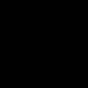 Meet your Posher, Jackson